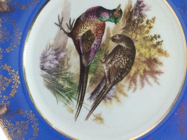 Talerz Anglia łowiectwo ptak bażant