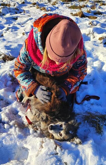 Jeżyk poleca się do adopcji