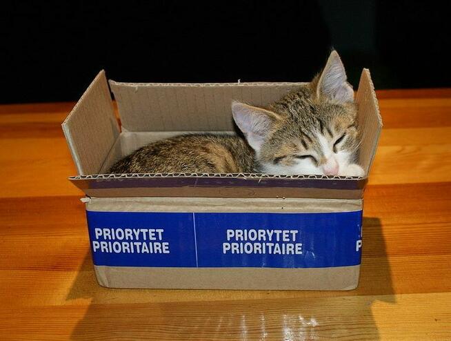 Przesyłki Miejskie Kurier Wrocław