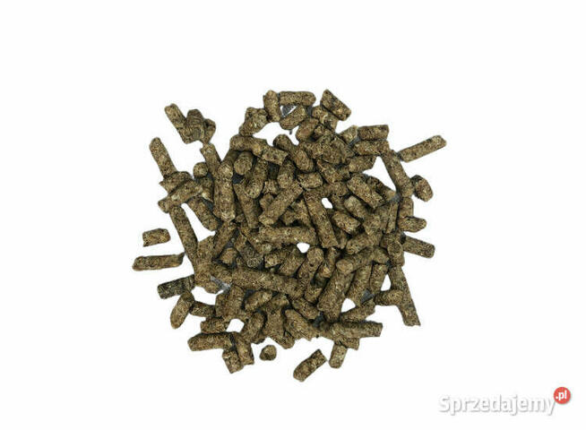 Wysłodki melasowane Tofi Glinojeck luz worki cały samochód