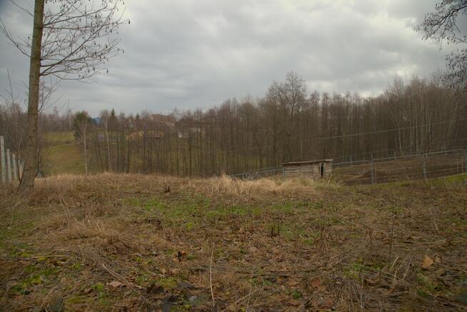 Działka rolno-zagrodowa w Łękawce !