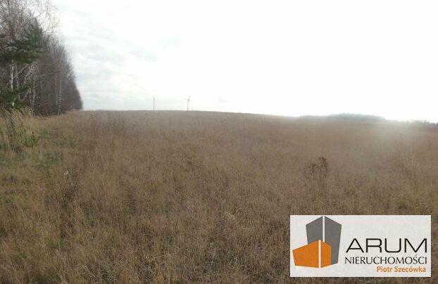 Działka budowlana Pierzchno gm. Wręczyca Wielka