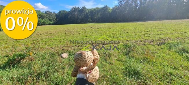 działka przy lesie, z oczkiem wodnym -gm. Świdnica