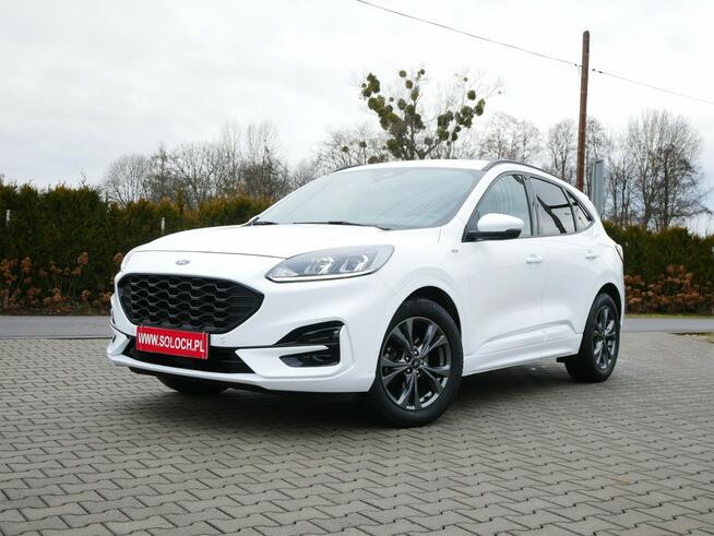 Ford Kuga 1.5 EcoBlue 120KM Eu6 St-Line -Automat 8b. - Zobacz