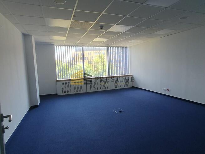 Wynajem lokalu w prestiżowej lokalizacji