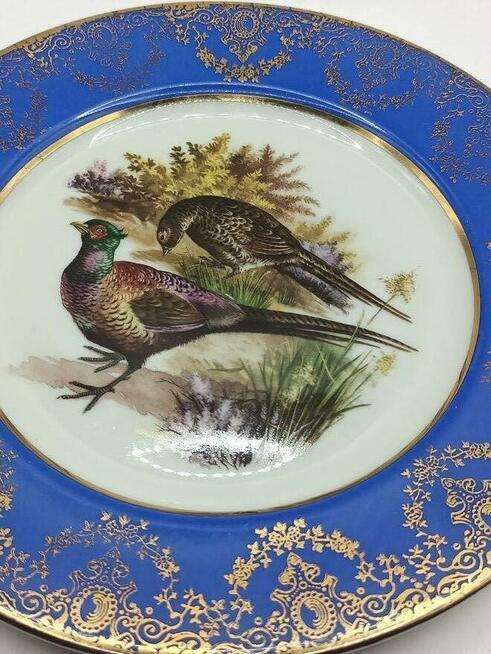 Talerz Anglia łowiectwo ptak bażant