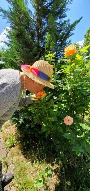 Dom Opieki Jesienna Róża