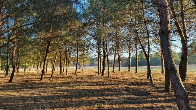 Działki nad rzeką – inwestycja/wypoczynek, Bałtów, Jura Park