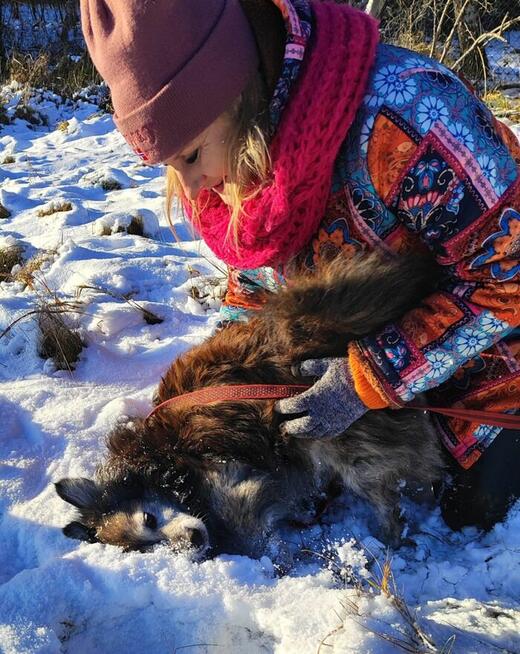 Jeżyk poleca się do adopcji