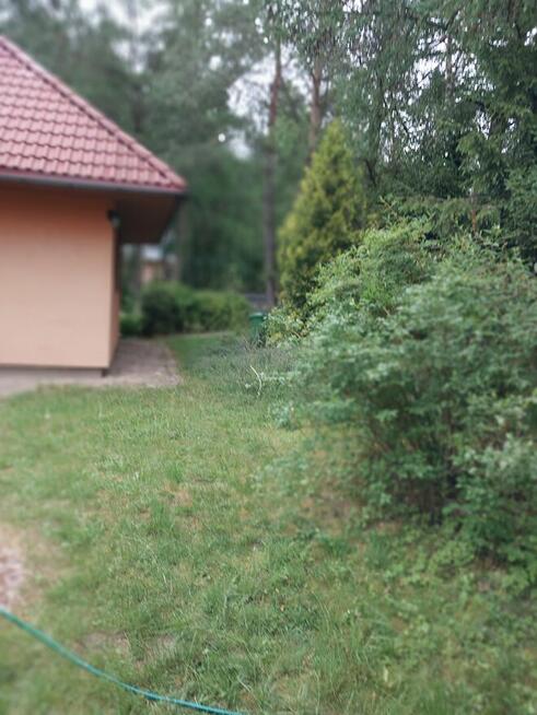 Klimatyczny dom całoroczny z wyposarzeniem.