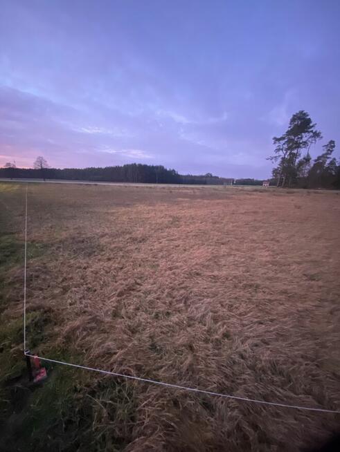 Działka 1060 m2 Bory Tucholskie nie Mazury 300 m od jeziora