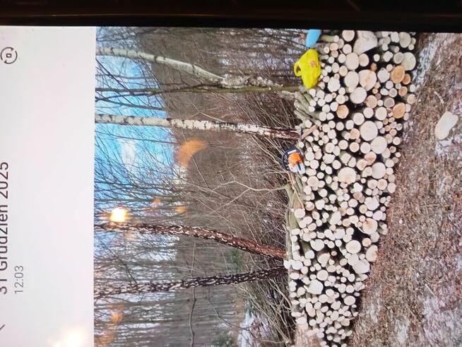 Sprzedam drewno opałowe