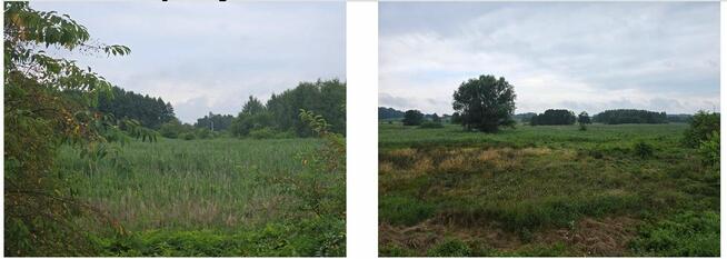 Udział w nieruchomości - Lyski