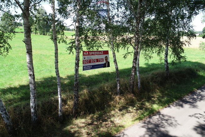 Działka Jura Krakowsko Częstochowska - REZERWACJA