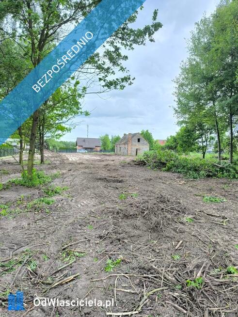 Działkę w dzierżawę w Gortatowie