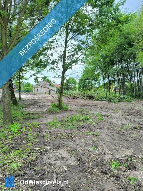 Działkę w dzierżawę w Gortatowie