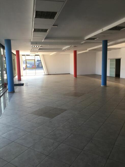 wynajmę magazyn+powierzchnie handlową