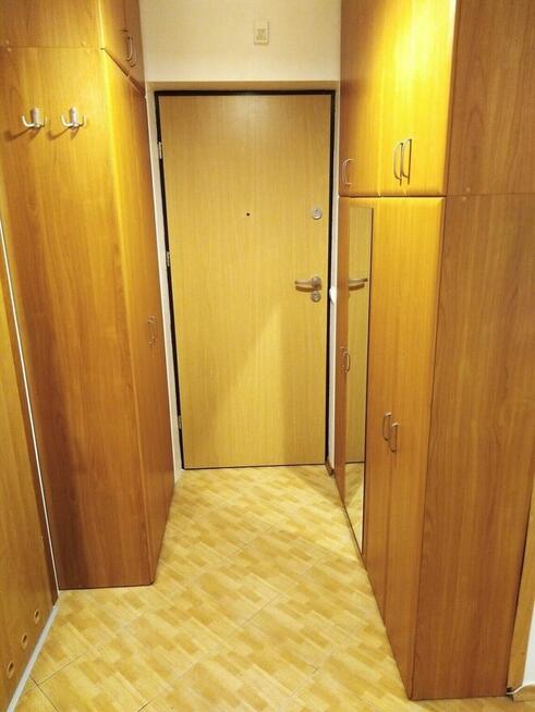 (ENG, UKR↓) Kraków Stare Miasto, kawalerka, wynajmie właścic