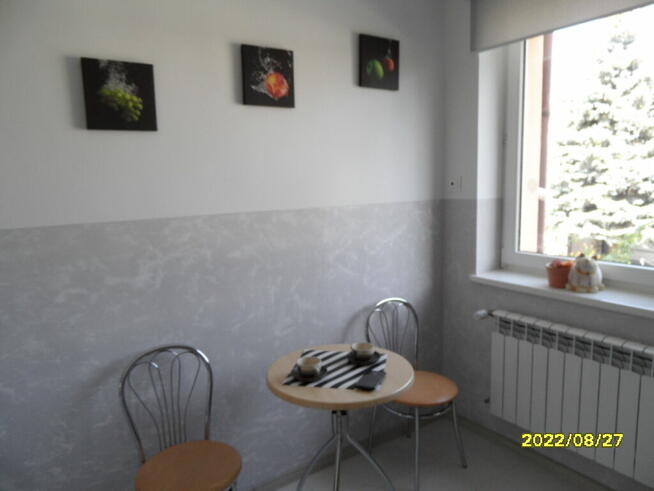 Do wynajęcia trzypokojowe z ogródkiem w Przemyślu