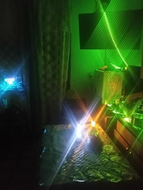 Matrymonialne zapoznanie zaprzyjaźnienie przyjaźń