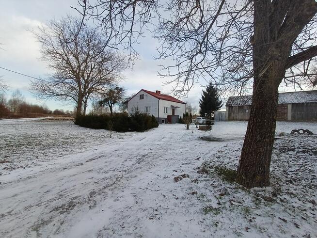 Siedlisko 1,78 ha w Witoszynie