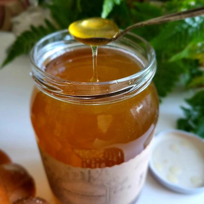 Miód lipowy Sosnowiec Pszczeli Zakątek świeży lokalny