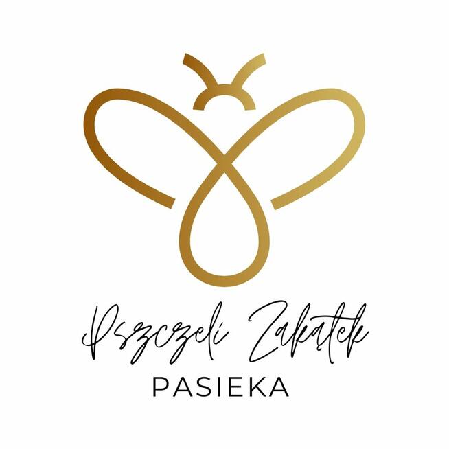 Miód akacjowy Sosnowiec Pszczeli Zakątek lokalny pszczelarz