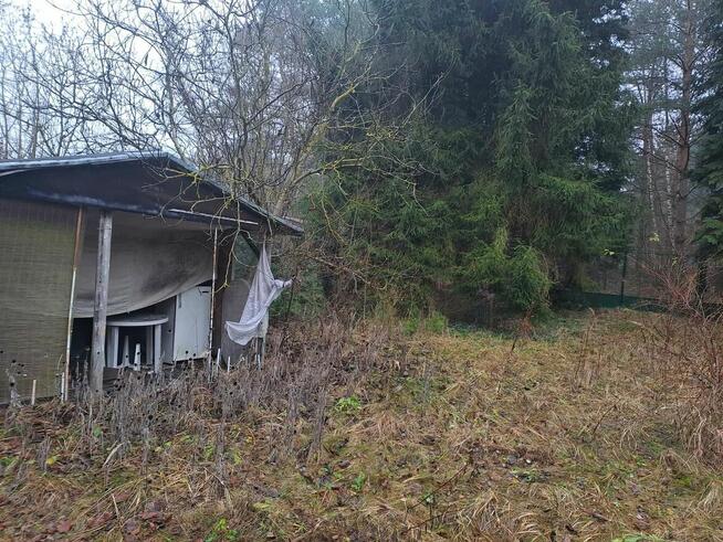 Urocza działka w Zofiówce, niedaleko Łodzi