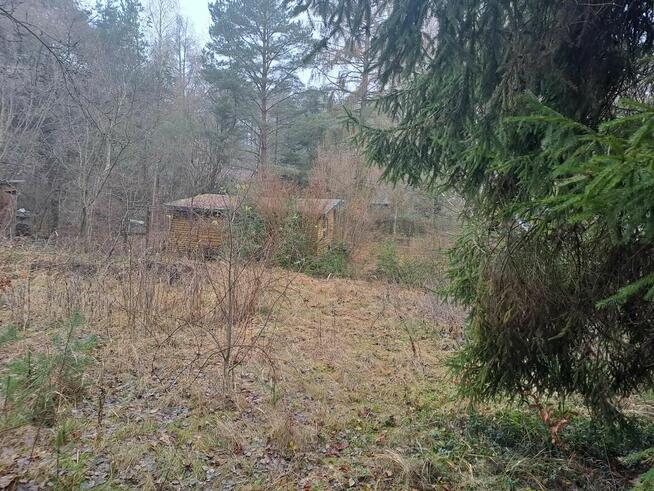 Urocza działka w Zofiówce, niedaleko Łodzi