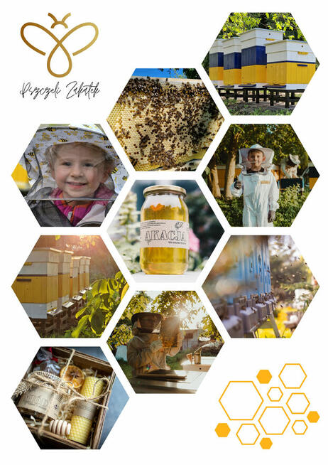 Miód akacjowy Sosnowiec Pszczeli Zakątek lokalny pszczelarz