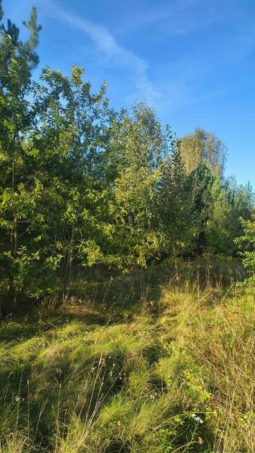 Działka budowlana, Wronowice gm. Łask