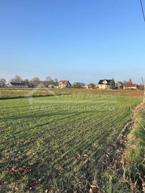 Działka budowlana Stasiówka gm. Łomazy, Stasiówka