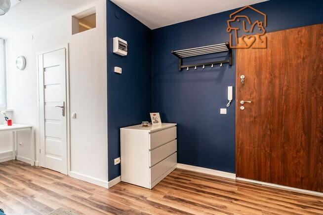 Przyjazne dla zwierząt studio -Powstańców 31 OF