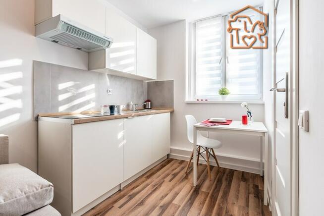 Przyjazne dla zwierząt studio -Powstańców 31 OF