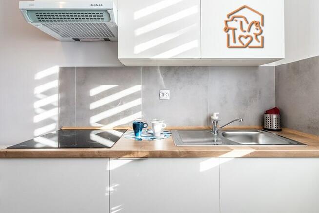 Przyjazne dla zwierząt studio -Powstańców 31 OF