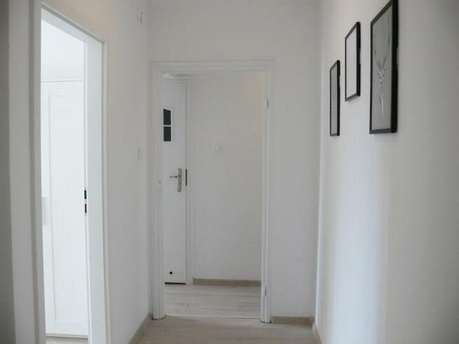 Pokój blisko Politechniki- Armii Ludowej 7