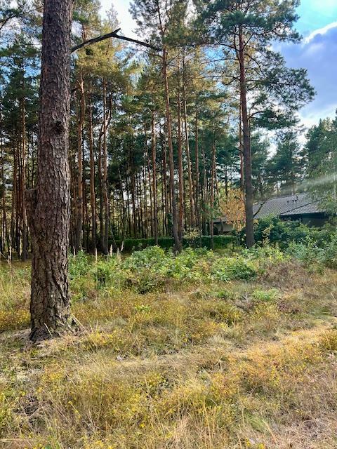 Działka budowlana Warszawa Wesoła, Zielona