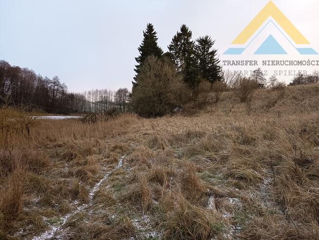 Działka rolna pod pastwisko, drzewa 2,4 h , 99 t.