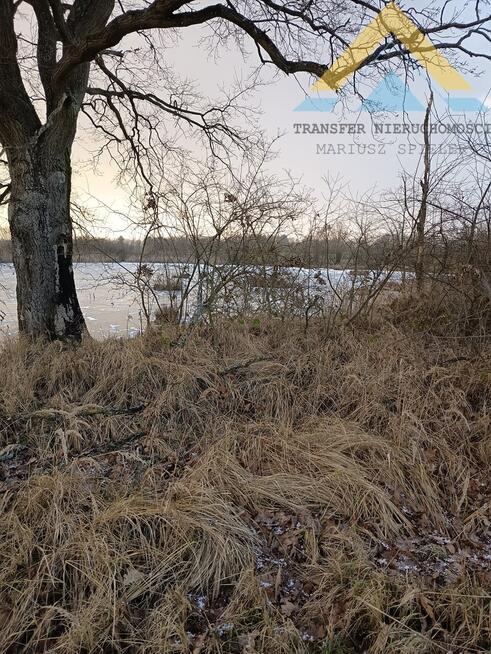 Działka rolna pod pastwisko, drzewa 2,4 h , 99 t.