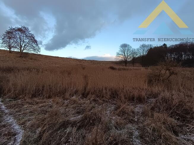 Działka rolna pod pastwisko, drzewa 2,4 h , 99 t.