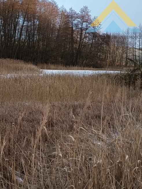 Działka rolna pod pastwisko, drzewa 2,4 h , 99 t.