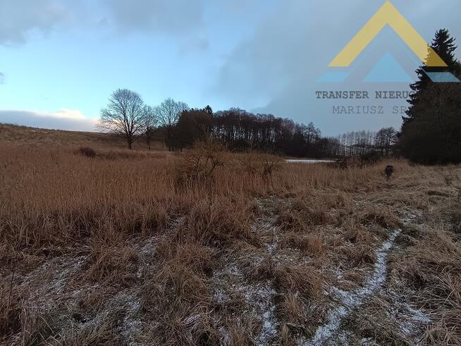 Działka rolna pod pastwisko, drzewa 2,4 h , 99 t.