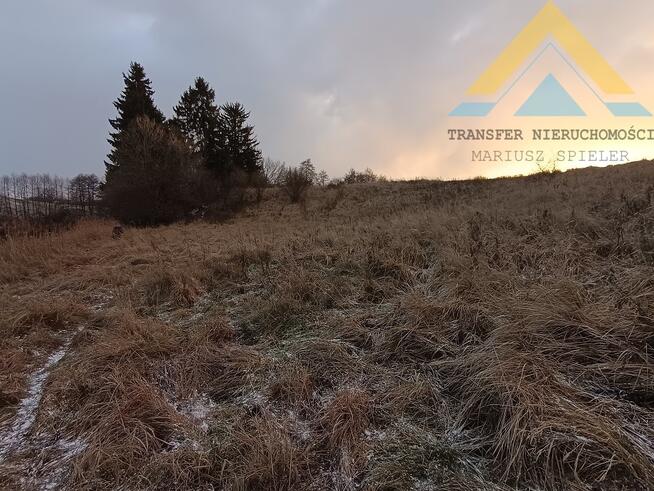 Działka rolna pod pastwisko, drzewa 2,4 h , 99 t.