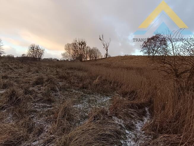 Działka rolna pod pastwisko, drzewa 2,4 h , 99 t.