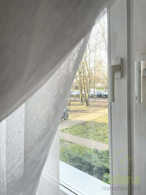 Wynajem, 3 pokoje przy Uniwersytecie, Gumieńce