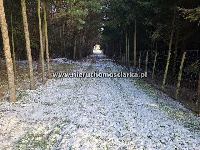 Działka gospodarstwo Gorzyce