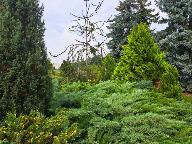 Działka budowlana Zgliniec gm. Krzywiń,