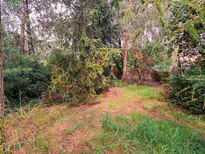 Działka budowlana Zgliniec gm. Krzywiń,