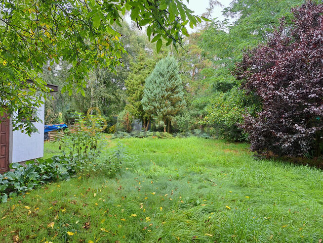 Działka budowlana Zgliniec gm. Krzywiń,