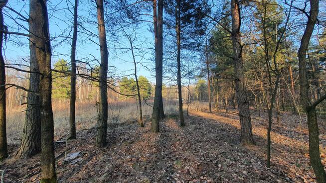 Działka budowlana Duchnów gm. Wiązowna